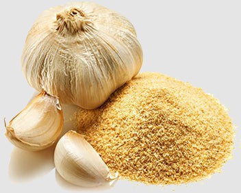 Indus Farms 100% Pure Freeze-Dried Garlic Powder, GMO-FREE, No Additives