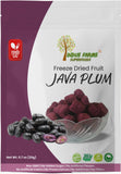 IndusFarms_FreezeDried_Jamun_JavaPlum